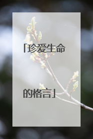珍爱生命的格言