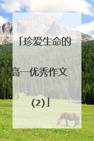 珍爱生命的高一优秀作文(2)