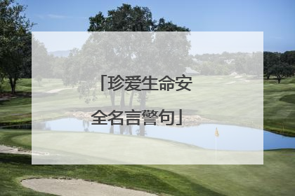 珍爱生命安全名言警句