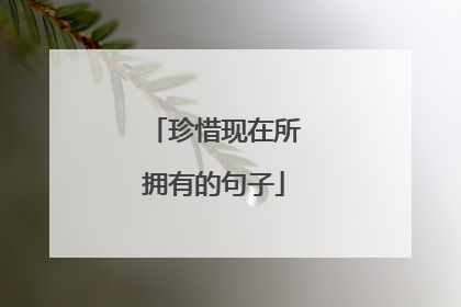 珍惜现在所拥有的句子