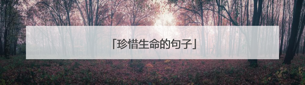 珍惜生命的句子