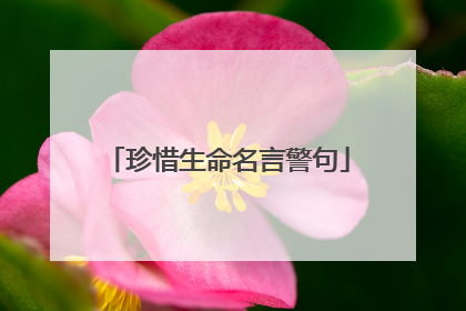 珍惜生命名言警句