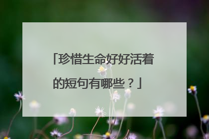 珍惜生命好好活着的短句有哪些?