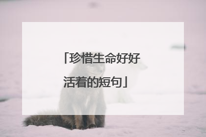 珍惜生命好好活着的短句