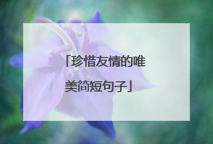 珍惜友情的唯美简短句子