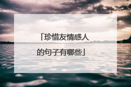珍惜友情感人的句子有哪些