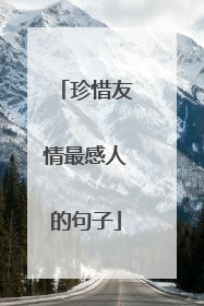 珍惜友情最感人的句子