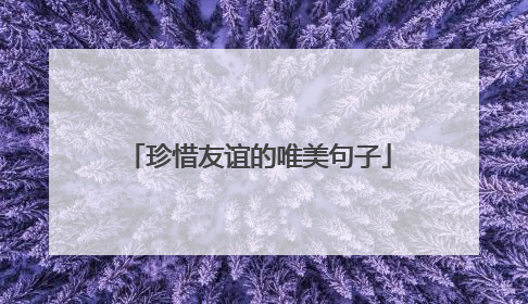 珍惜友谊的唯美句子