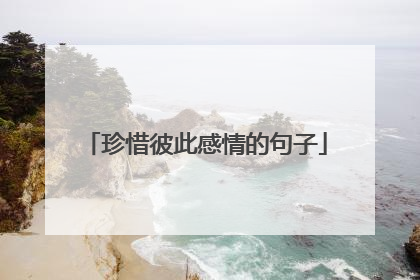 珍惜彼此感情的句子