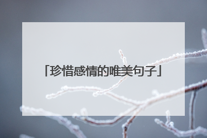 珍惜感情的唯美句子