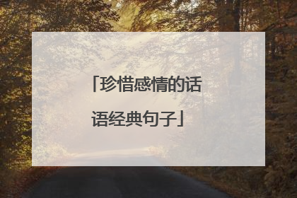珍惜感情的话语经典句子