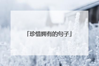 珍惜拥有的句子