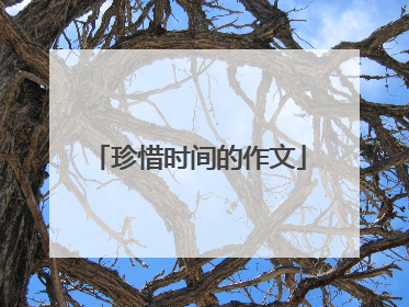 珍惜时间的作文