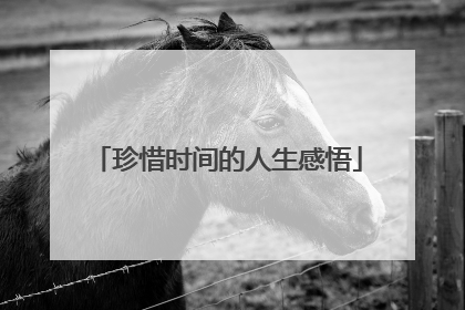 珍惜时间的人生感悟