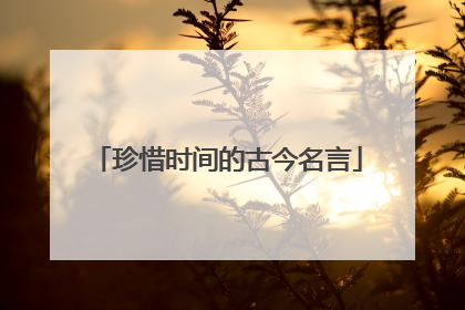 珍惜时间的古今名言