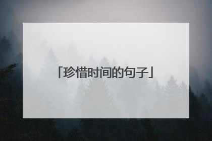 珍惜时间的句子