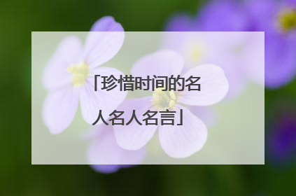 珍惜时间的名人名人名言