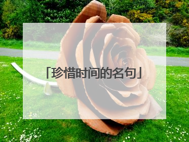 珍惜时间的名句
