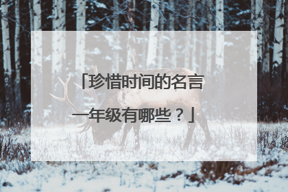 珍惜时间的名言一年级有哪些?