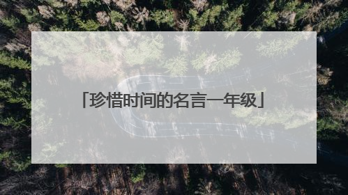 珍惜时间的名言一年级