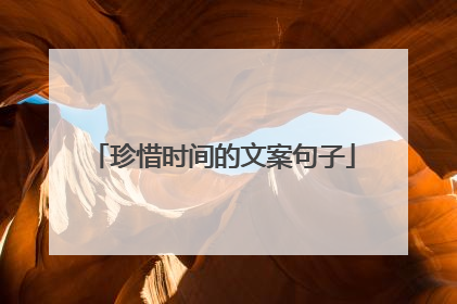 珍惜时间的文案句子