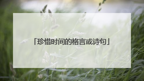 珍惜时间的格言或诗句