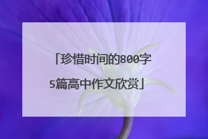 珍惜时间的800字5篇高中作文欣赏