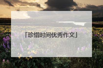 珍惜时间优秀作文