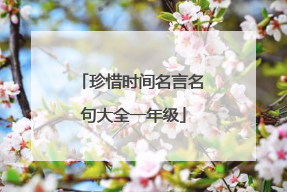 珍惜时间名言名句大全一年级