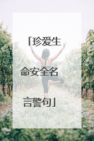 珍爱生命安全名言警句