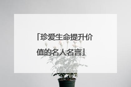 珍爱生命提升价值的名人名言