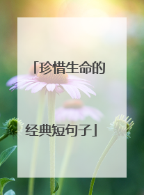 珍惜生命的经典短句子