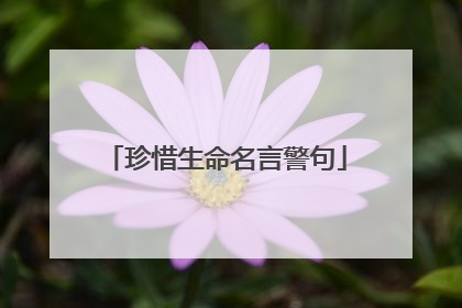 珍惜生命名言警句
