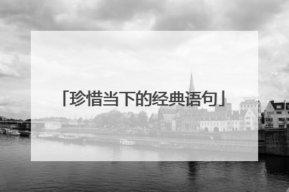 珍惜当下的经典语句