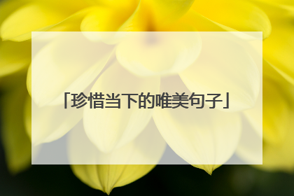珍惜当下的唯美句子