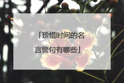 珍惜时间的名言警句有哪些