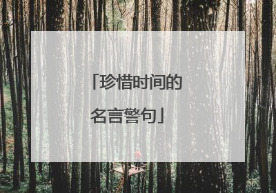 珍惜时间的名言警句