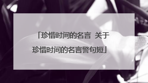 珍惜时间的名言 关于珍惜时间的名言警句短