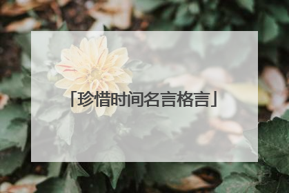 珍惜时间名言格言