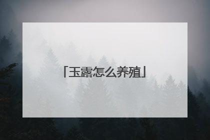 玉露怎么养殖