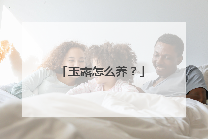 玉露怎么养?