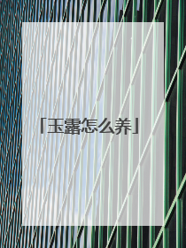 玉露怎么养