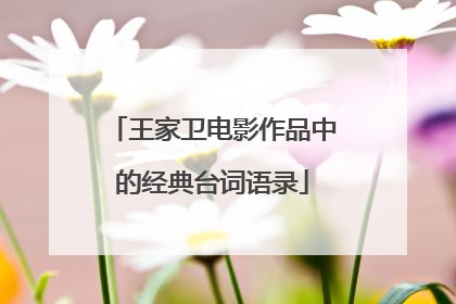 王家卫电影作品中的经典台词语录