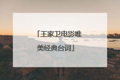 王家卫电影唯美经典台词