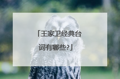 王家卫经典台词有哪些?