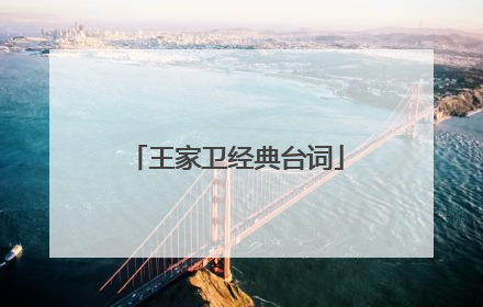 王家卫经典台词