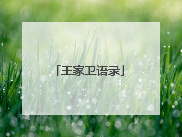 王家卫语录