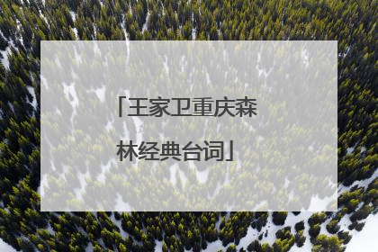 王家卫重庆森林经典台词