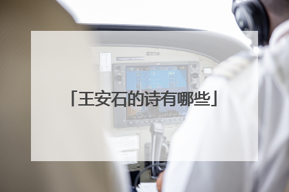 王安石的诗有哪些