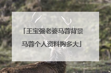 王宝强老婆马蓉背景 马蓉个人资料胸多大